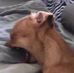 Malik Webster - Facebook