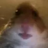 Mar - @malik_wu - TikTok