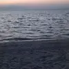 Malika Abdullah - @malika.abdullah1 - TikTok
