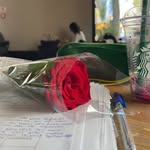 malika - @malika_abdullah_1 - Instagram