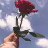 malikaday190 - @malikaday7 - TikTok