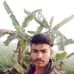 Malika Dưa - Facebook