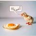 Malika Elkhalifi - Facebook