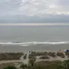 malikaevans1234567 - @malikaevans1234567 - TikTok