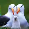 malika ghai - @user33556380 - TikTok