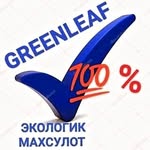 💚 greenleaf - @malika_greenleaf - Instagram