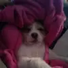 Malikai Hernandez - @malikai.hernandez - TikTok