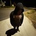 Malique Hines - Facebook