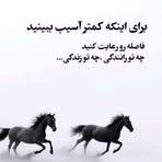 Malika Karimi - Facebook