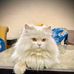 Malika Khan - Facebook