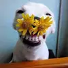 malika love - @malika.love98 - TikTok