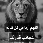 Malika Malik - Facebook