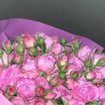 malikamannopovna - @malikamannopovna - Instagram