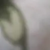 malikamarshall3 - @malikamarshall3 - TikTok