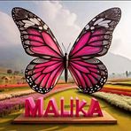 Malika Kenzie - Facebook