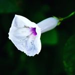 Malika Murray - @murraynatureshots - Instagram