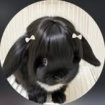 malika ᵔᵕᵔ - @malikarahimm - Instagram