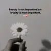 Diamond Girl💎 - @malika.ray3 - TikTok