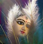 Malika Roy - Facebook