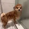 malika - @malikassupersecret - TikTok