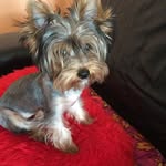 Usmanova Malika - @malika.usmanova.1232 - Instagram