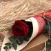 Malika Warda - Facebook