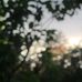 Malie Whiting - Facebook