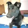 Malika Wolf - @malika.wolf0 - TikTok