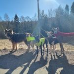 Malin Norman - @malinthelurchermom - Instagram