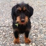 Norman Malin - @norman.malin.18 - Instagram