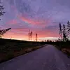 malinolsson - @malin.olssonn - TikTok