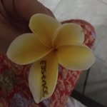 Melinda Arnold - @dinspo12345 - Instagram
