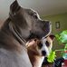 Melinda Jo Baum - Facebook