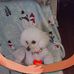 Mylinda Dowell - Facebook