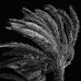 Malinda Doyle - Facebook