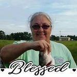 Melinda Long - @mklong - Instagram