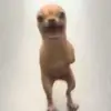 malinda_martinez0 - @malinda_martinez0 - TikTok