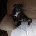 Melinda Mason - Facebook