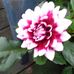 Malinda Ray - Facebook