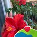Malinda Richardson - Facebook