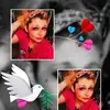 malindarobinson44 - @malindarobinson44 - TikTok