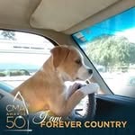 Melinda Robinson - @melinda.robinson.9809 - Instagram