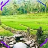 Malinda Silva - @malindasilva06 - TikTok