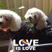 Malinda Watson - Facebook
