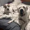 Melinda Watson - @melinda.watson7 - TikTok