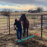 Malinda Webster - @cowgirls_do_it_best - Instagram
