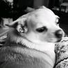 Malinda White - @mindywhite399 - TikTok