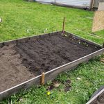 Malisa Jones - @beginnergardeners_msjones - Instagram