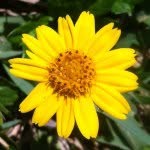 ☀Malissa Mitchell☀ - @sweetsunshine768 - Instagram
