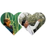 Mallika Iyer - @mallikasvis - Instagram